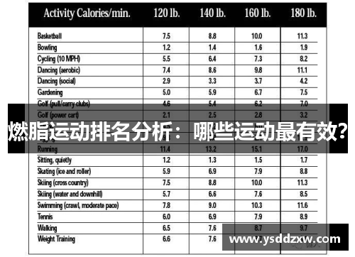 燃脂运动排名分析：哪些运动最有效？